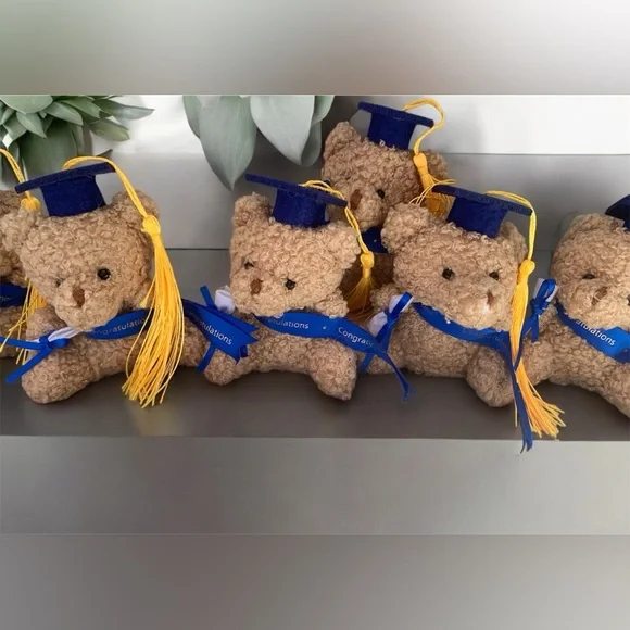 16 Pcs 4 Inches Blue Congratulations Mini Plush Graduation Bear with Diploma - Picture 3 of 7